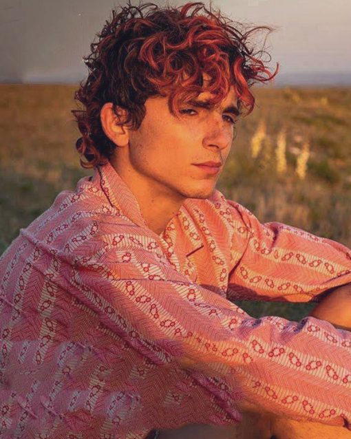 Bones-And-All-Timothee-Chalamet-Shirt