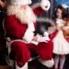 Classic Santa Claus Costume Suit For Christmas