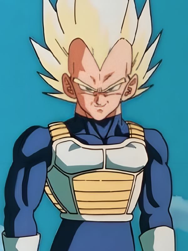 Dragon Ball Z Cell Arc Vegeta Saiyan Armor Weighted Vest Dragon Ball Z Saiyan Armor Weighted Vest