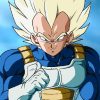 Dragon Ball Z Cell Arc Vegeta Saiyan Armor Weighted Vest