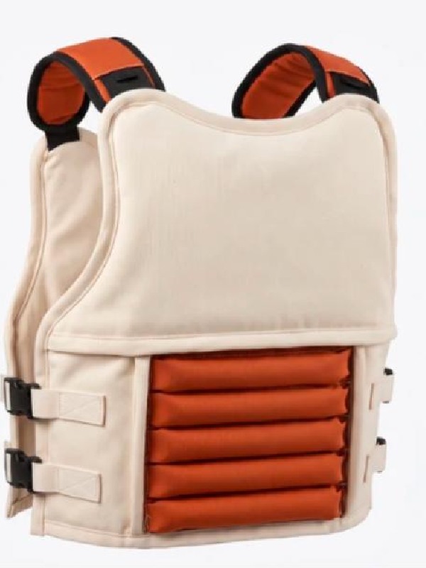 Dragon Ball Z Vegeta Saiyan Armor Weighted Vest For Sale Dragon Ball Z Vegeta Saiyan Armor Weighted Vest For Sale