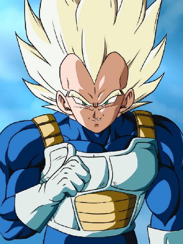 Dragon Ball Z Vegeta Saiyan Armor Weighted Vest Dragon Ball Z Cell Arc Vegeta Saiyan Armor Weighted Vest